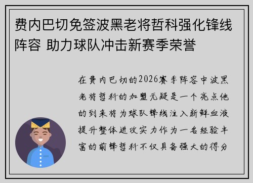 费内巴切免签波黑老将哲科强化锋线阵容 助力球队冲击新赛季荣誉