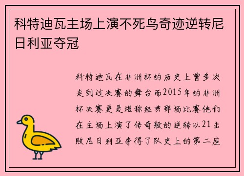 科特迪瓦主场上演不死鸟奇迹逆转尼日利亚夺冠